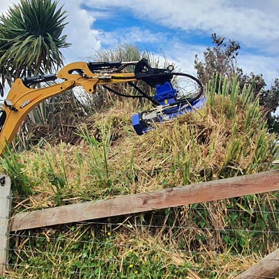 lifestyle block broom removal