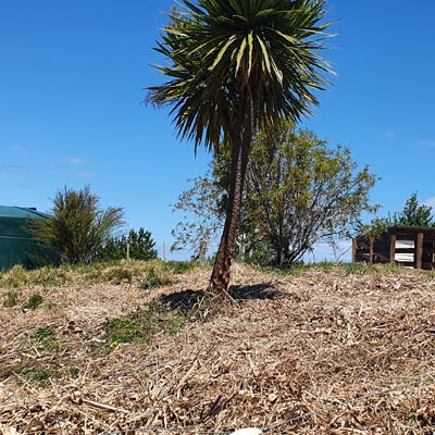 lifestyle block vegetation removal